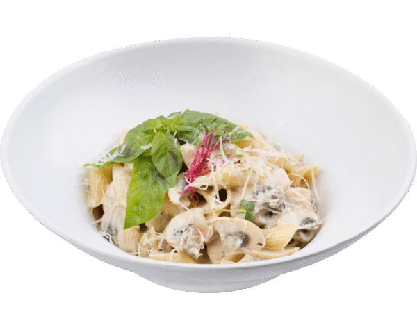 Chicken Alfredo
