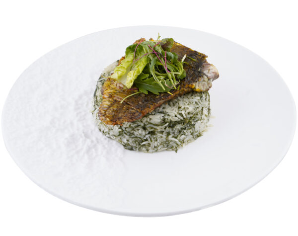 sea bass
